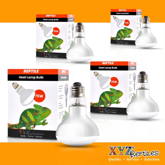 Reptile Heat Lamp Bulb 75 Watt